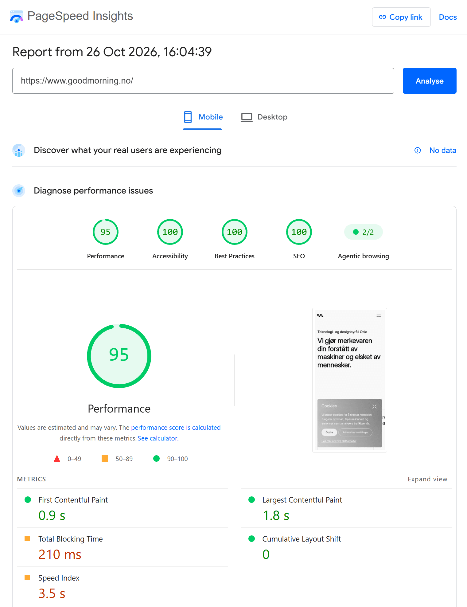 Google PageSpeed Insights report for the goodmorning.no front page on mobile: performance 95, accessibility 100, best practices 100, SEO 100